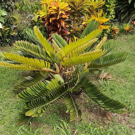 Bencastle Villa Gros Islet Exterior photo